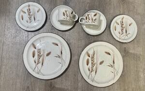 Vtg Stonehenge Midwinter Wild Oats 2 Dinner Plates 2 Salad 2 Bread Plates 2 Mugs